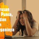 Menguruskan emosi dalam sesebuah syarikat