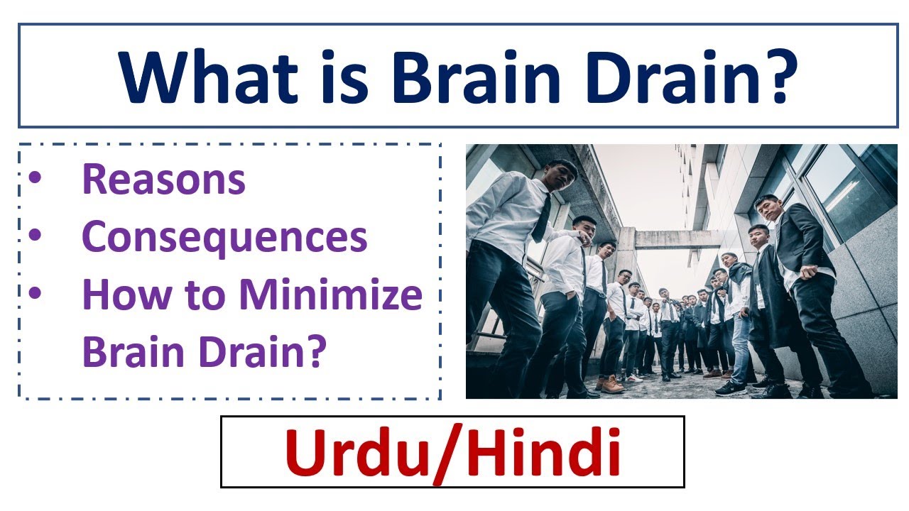 what is brain drain reasons consequence of brain drain how to minimize brain drain urdu hindi